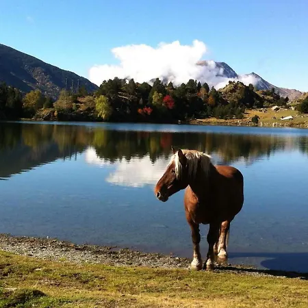 別荘 Esplendida Casa En El Centro De Con Piscina